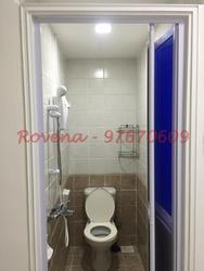 The Sunny Spring (D14), Apartment #97521222